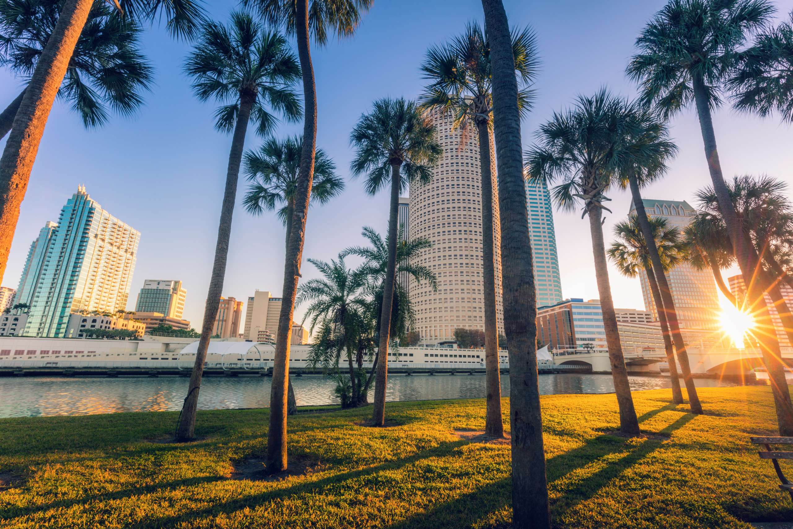 Clearwater waterfront with palm trees representing local translation services in Clearwater, Florida